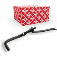 FEBI BILSTEIN Soupape, dispositif d'assistance de frein 104092