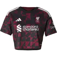 Adidas T-shirt fonctionnel 'FC Liverpool 26/27' lie de vin / noir / blanc