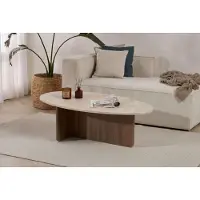 Skye Decor Orba Coffee Table (120 x 120 x 40 cm)