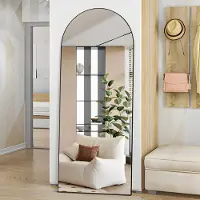 Sonstiges Miroir mural de corps entier, dimensions 165 x 60 cm, avec cadre en aluminium noir incurvé, conçu pour être accroché ou posé