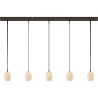 Masterlight Lampe pendante de conception Alta Cacao 5 lumières