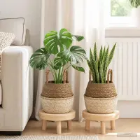 Prolenta Maison Exclusive - Jardinières avec poignées, lot de 2. Blanc, diamètre 22 cm, hauteur 20 cm. 100% algue marine