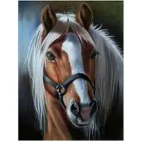 Norimpex Cheval en mosaïque de diamants avec des couleurs vives 1009222 92229
