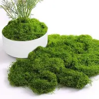 OEM Mousse artificielle verte pour la décoration de Noël