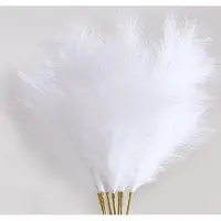 OEM Herbe de la pampa blanche, lot de 8, 97 cm, pour décoration de vase
