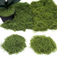 OEM Mousse artificielle décorative 200 g, vert foncé, pour aquarium DIY