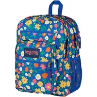 JanSport Sac à dos 'Big Student' mélange de couleurs