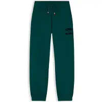 Tommy Hilfiger Pantalon 'Brand Love' sapin