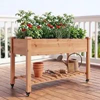 StarTech.com Bordure surélevée en bois, sur roulettes - 120 x 60 x 83 cm - Roulettes verrouillables - Étagère - Tissu de plantation - Hauteur de travail ergonomique - Finition bois