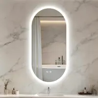 LUVODI WISFOR Miroir de salle de bain LED, forme ovale, 60x120 cm, miroir mural ovale avec fonction anti-buée, interrupteur tactile, indice de protection IP66