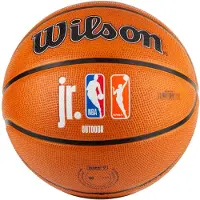 Wilson 6