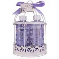 Accentra Set de bain LAVENDEL dans une cage à oiseaux, comprenant 210ml de gel douche, 210ml de lotion pour (Kit de soins capillaires, Set soin du corps)