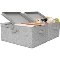 Merkloos Lot de 2 grandes boîtes de rangement avec couvercle, couleur grise