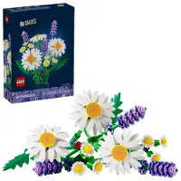LEGO Botanicals 11508 Marguerites - Bouquet artificiel pour les enfants de 9 ans et plus - Fleurs colorées