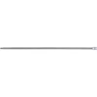 Bgs Embout de tournevis Longueur 400 mm Entraînement Carré intérieur 6,3 mm (1/4") Profil en T (pour Torx) T30 - 4202