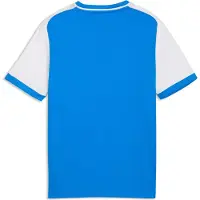 Puma T-Shirt fonctionnel 'Teamliga26 Matchday' bleu / blanc