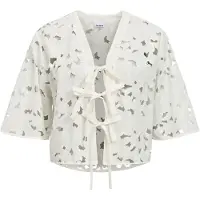 Object Transparent Blouse