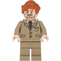 LEGO Harry Potter : Remus Lupin