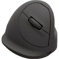 Fellowes Souris Sans Fil 100143584
