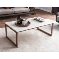 AEA Luxuriöser Weißer Couchtisch Wohnzimmermöbel Holz Luxe Coffee Table