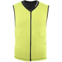 Dainese Gilet de protection Snow Scarabeo Auxagon Vert 6-8 ans Vert 6-8 ans