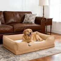 Bingopaw Lit pour chien WISFOR, canapé pour chien, coussin pour chien, bords surélevés, imperméable, housse amovible. Taille 3XL : 127 x 94 x 24 cm, couleur beige
