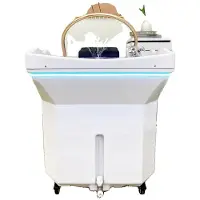 OEM Cuve de shampooing, réservoir d'eau de 60 litres, fonction de chauffage de l'eau, sans gaz