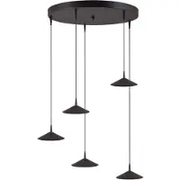 Masterlight Lampe suspendue à 5 lumières Ceppo Noir Ø rond 18cm
