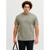 Jack&Jones PLUS Plus T-Shirt 'JJEAustin' greige