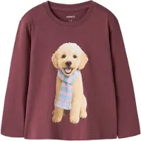 Name it T-Shirt 'NMFVOTEA' bleu clair / marron / lie de vin / noir