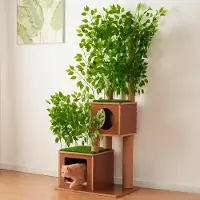 Kein Hersteller Arbre pour chat Kratzbaum Baumdesign, 175 cm, avec feuilles amovibles, 2 cachettes, 2 plateformes, en sisal, avec coussin moelleux (vert)