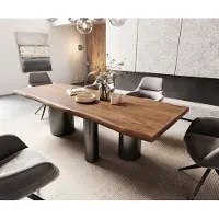 DELIFE Table à manger Edge 260x100 XL Acacia Marron Troa Acier inoxydable Graphite Live-Edge