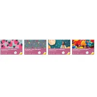 Interdruk Cahier de papier couleur autocollant. B5/8K (10 exemplaires)