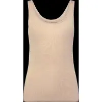 Icebreaker Haut de sport 'Siren' beige