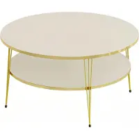 AEA Eleganter Beigefarbener Couchtisch aus Holz mit Edelstahl-Details