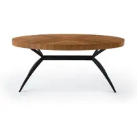 AEA Speisetisch Tafel Ovaltisch Designertisch Ausziehtisch Esstisch Tisch