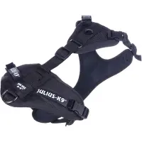 Julius-K9 Mantrailing & Outdoor Harnais pour chiens (XS, Chien, Sport canin, Général)