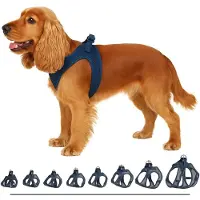 Flamingo Harnais Pour Chien Step&go Bento