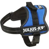 JULIUS K-9 Powergeschirr Baby 1-Mini 40-53 cm/22 mm bleu