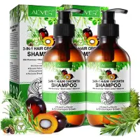 P-Beauty Shampooing 3 en 1 au romarin ricin huile de batana biotine soin du cuir chevelu croissance des cheveux, 2x 300ml