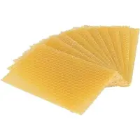 OEM Cadres en cire d'abeille - Cadres pour la production de miel - Pour l'apiculture - 5,1 x 3,5 pouces - Cadres en bois pour ruches