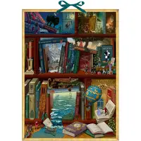 Sonstige Verlage Calendrier de l'Avent mural - La magie des livres