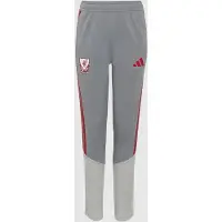 Adidas Pantalon de sport 'Liverpool FC 26/27 Cup Tiro' gris / rouge / blanc