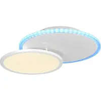Paul Neuhaus Plafonnier LED Blanc 39cm 21W 2000lm Jardins Botaniques Royaux Tdc Backlight