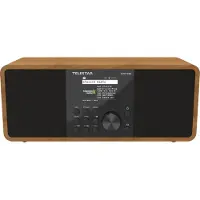 Telestar Radio internet Top 250 Radio hybride Bois
