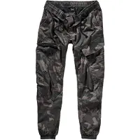 Brandit Pantalon cargo 'Ray' marron / vert