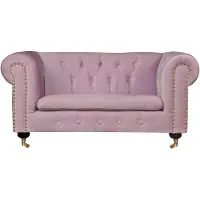 AEA Rose Canapé Chesterfield Coussin Tissu Cuir Canapé Coussin Garniture Nouveau