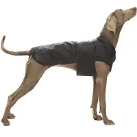 Croci Spa Montreal raincoat for dogs black 25cm (25, Manteau pour chien)