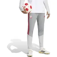 Adidas Pantalon d'entraînement Europe Liverpool FC - Gris, Gris