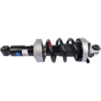 StarTech.com Amortisseur pneumatique AUDI R8 D - Essieu avant gauche/droit - Année de fabrication 2007-2012 - Moteur 4,2L 5,2L - Référence OEM : 420412019AJ, 420412019Q, 420412019AG